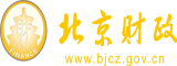 www.大骚bb北京市财政局