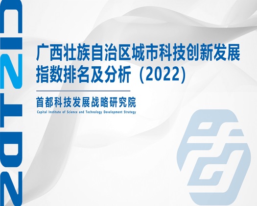 黑美女操逼露逼毛视频【成果发布】广西壮族自治区城市科技创新发展指数排名及分析（2022）